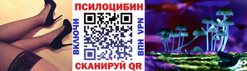 Псилоцибиновые грибы ЛСД  Купить закладки  Тихорецк 